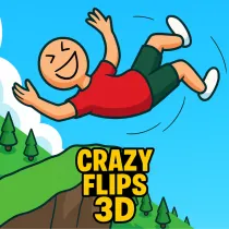 Crazy Flip 3D