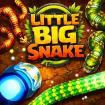 Little Big Snake
